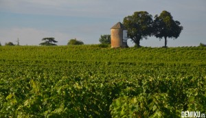 Viñedos de Burdeos en Francia